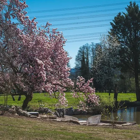Magnolie Gmbh Szálloda Laufenburg