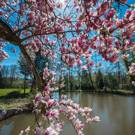 호텔 Magnolie Gmbh 4*