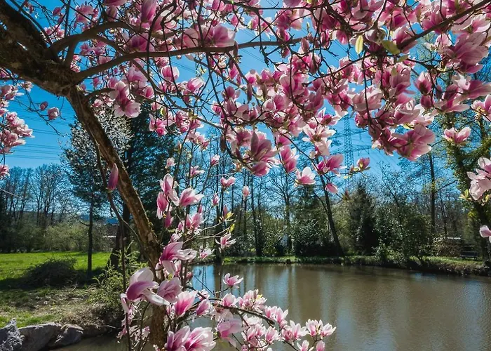 Hotel Magnolie Gmbh 4*