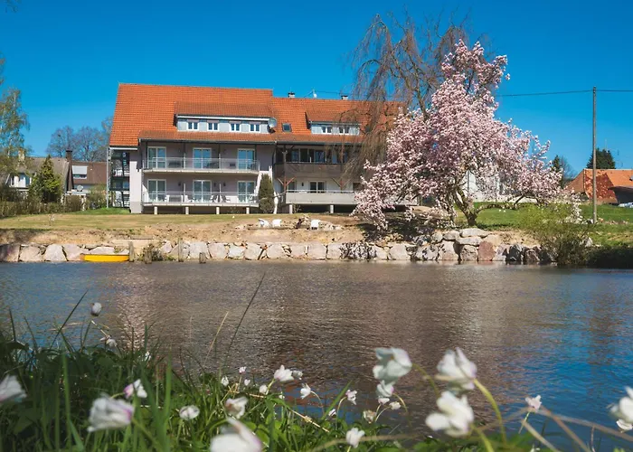 Magnolie Gmbh Hotel Laufenburg